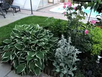 DSC00167.webp