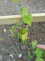 IMG_20170612_1016442.webp