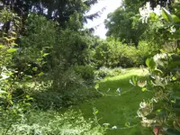 BILD6918.webp