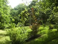 BILD6934.webp