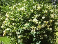 BILD6955.webp