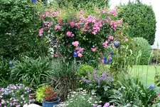 Terasse4016.webp
