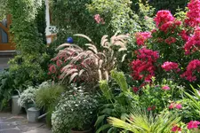 Terasse2515.webp