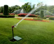 Beregnung in der Sommerblumenschau (Arena).webp