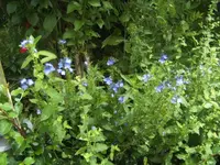BILD6945.webp