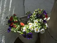 BILD6986.webp