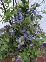 BILD6987.webp