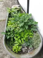 001_600x800.webp