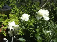 BILD7032.webp