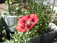 BILD7035.webp