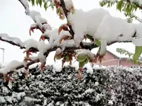 DSC09378.webp