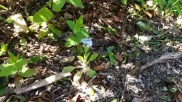 01_20170611_120159.webp
