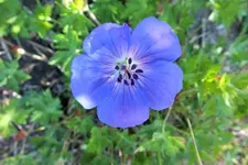 DSCF9114 (2).webp