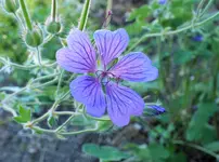 DSCF9077 (2).webp