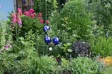 Juni9117bJPG.webp