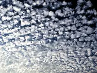 DSC08041.webp