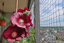 B08a.webp