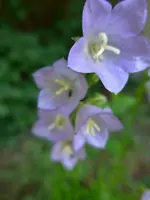 P1000833.jpg