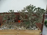 DSC00188.webp
