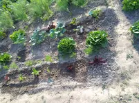 IMG_20170612_180119.webp