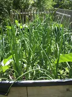 BILD7040.webp