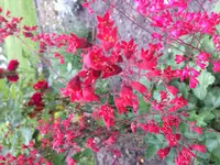 2017-06-12_19-11-01_879.webp