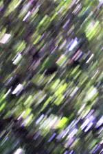 impressionistisch.webp