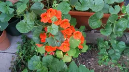 20170612_185616.2.webp