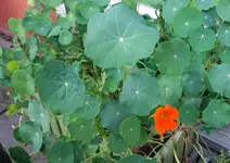 20170612_185642.2.webp
