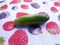 20170614_153940.webp