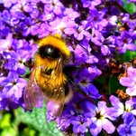 20170614_165729.webp