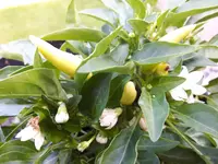 20170614_171842.jpg
