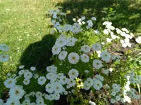 IMG_20170614_182007.webp
