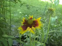BILD7051.webp