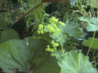 BILD7052.webp
