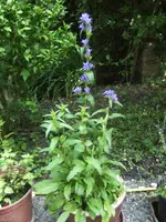 BILD7059.webp