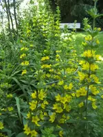 BILD7063.webp