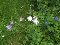 BILD7064.webp