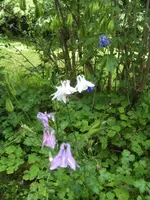 BILD7065.webp