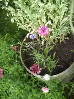 BILD7066.webp