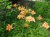IMG_7837.webp