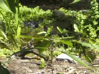 BILD7071.webp