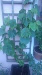 20170614_214522.jpg