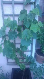 20170614_214522.webp