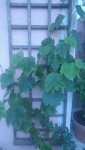 20170614_214530.jpg