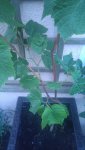 20170614_214457.jpg