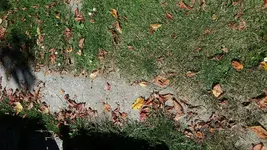 1497517976529-1035885005.webp