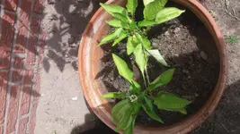 20170615_115516.webp