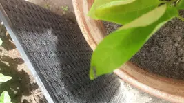 20170615_115521.webp