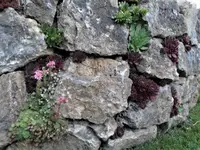 DSC00200.webp